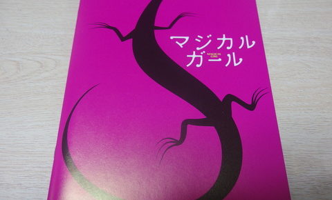 ネタバレあり マジカル ガール 感想と考察 魔法少女の願いとその罰とは ナガの映画の果てまで